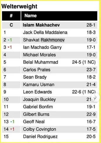 Рейтинг UFC
