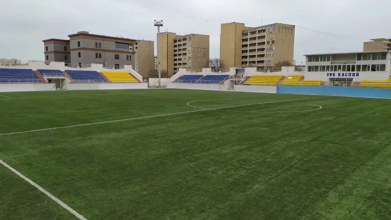 Жас канат