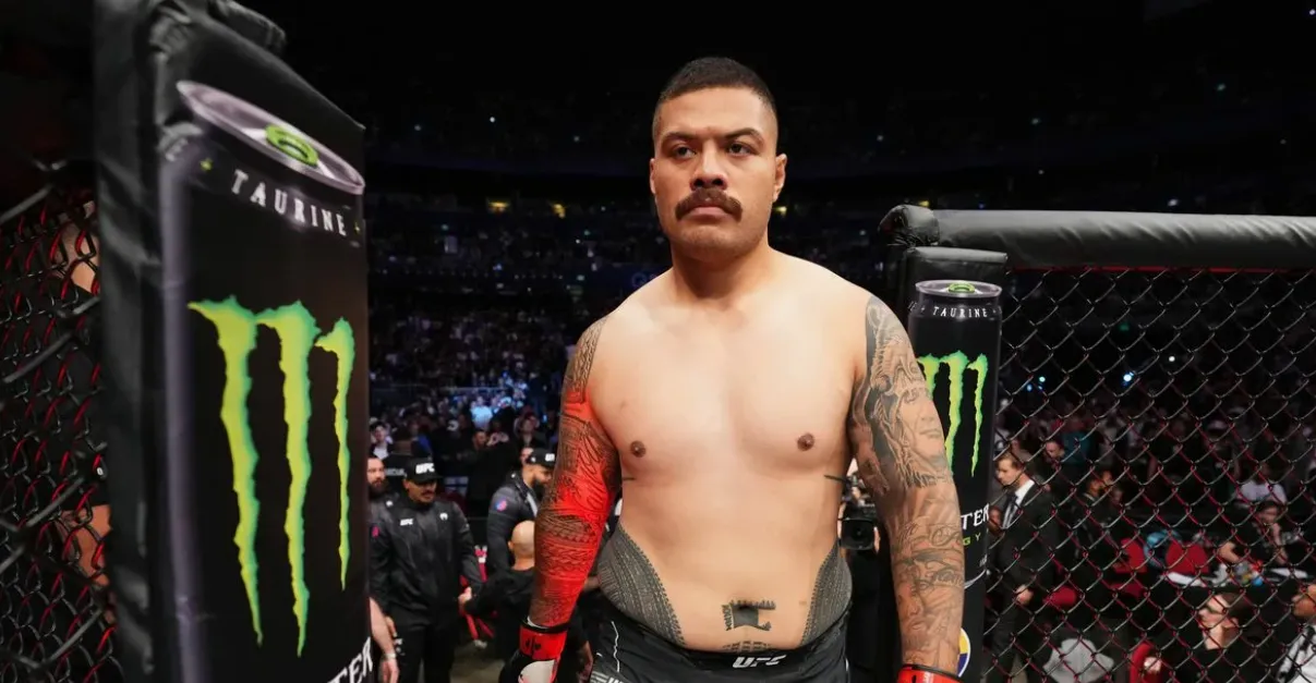 Тафа – Элекана прогноз на UFC 325 Сидней 1 февраля 2026 года