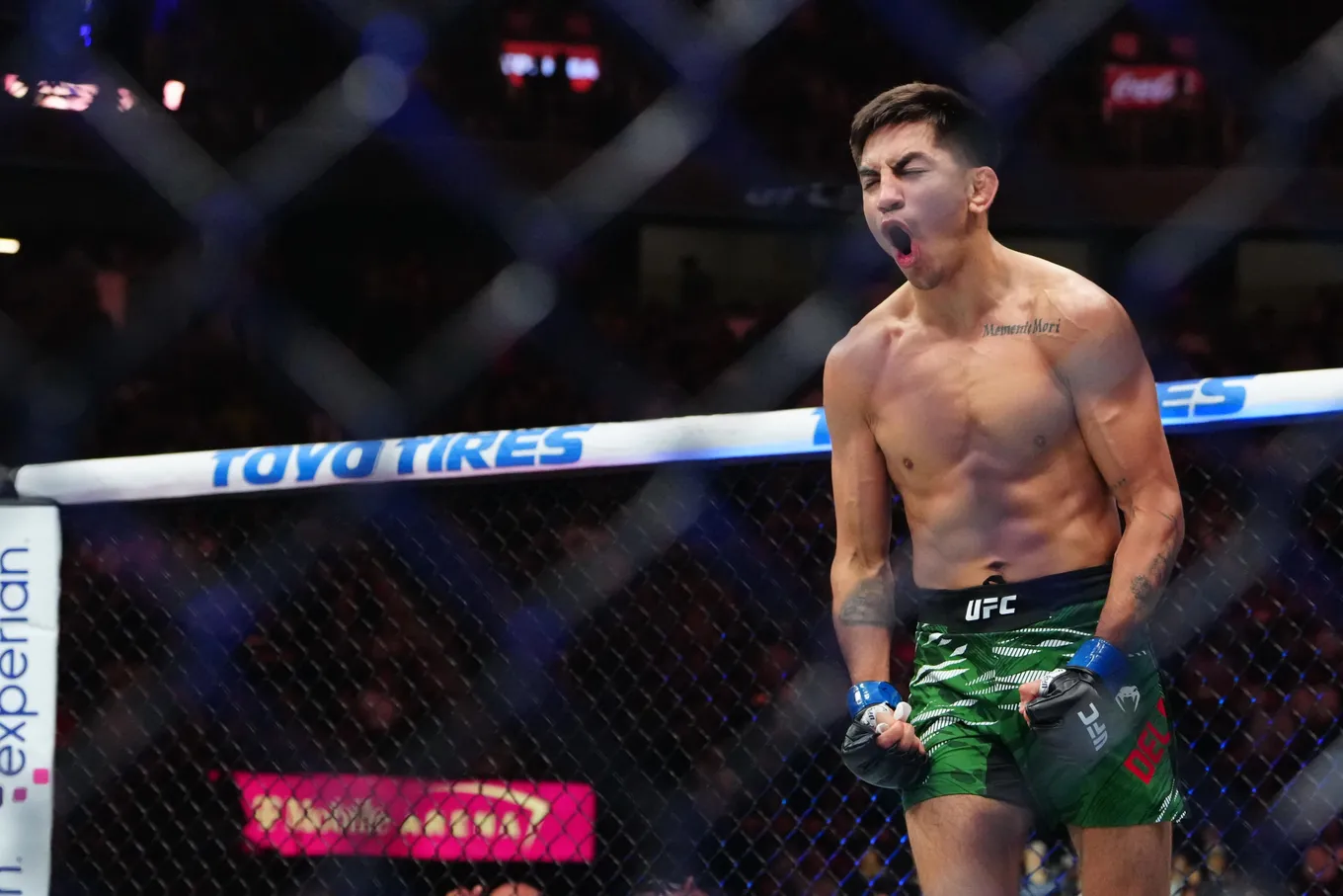 Амил – Эммерс прогноз на UFC On ESPN 73 Лас-Вегас 9 ноября 2025 года