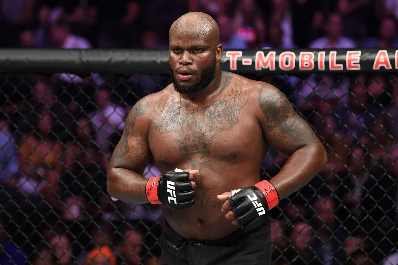 Кортес-Акосто – Льюис прогноз на UFC 324 Лас-Вегас 25 января 2026 года