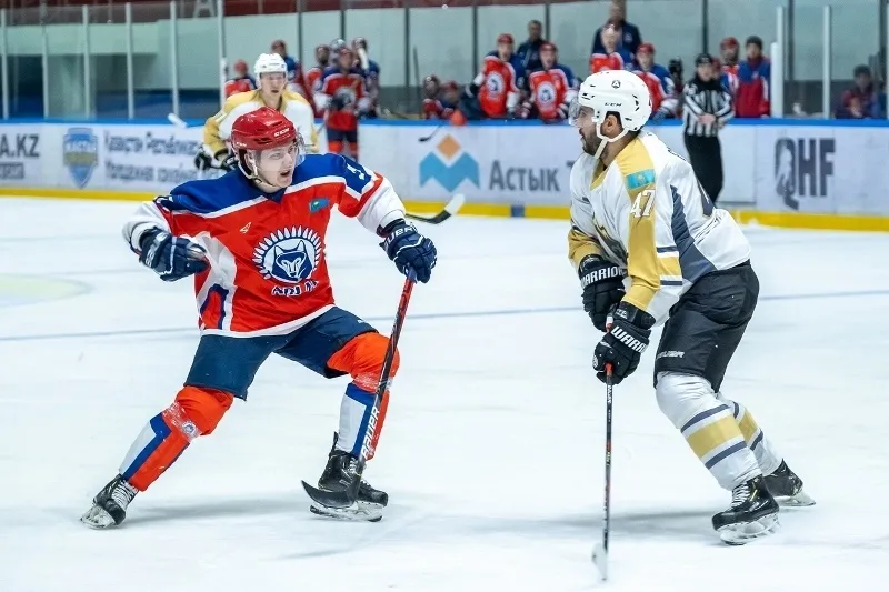 Горняк – Алматы прогноз на PRO HOKEY LIGASY 2 декабря 2024 года