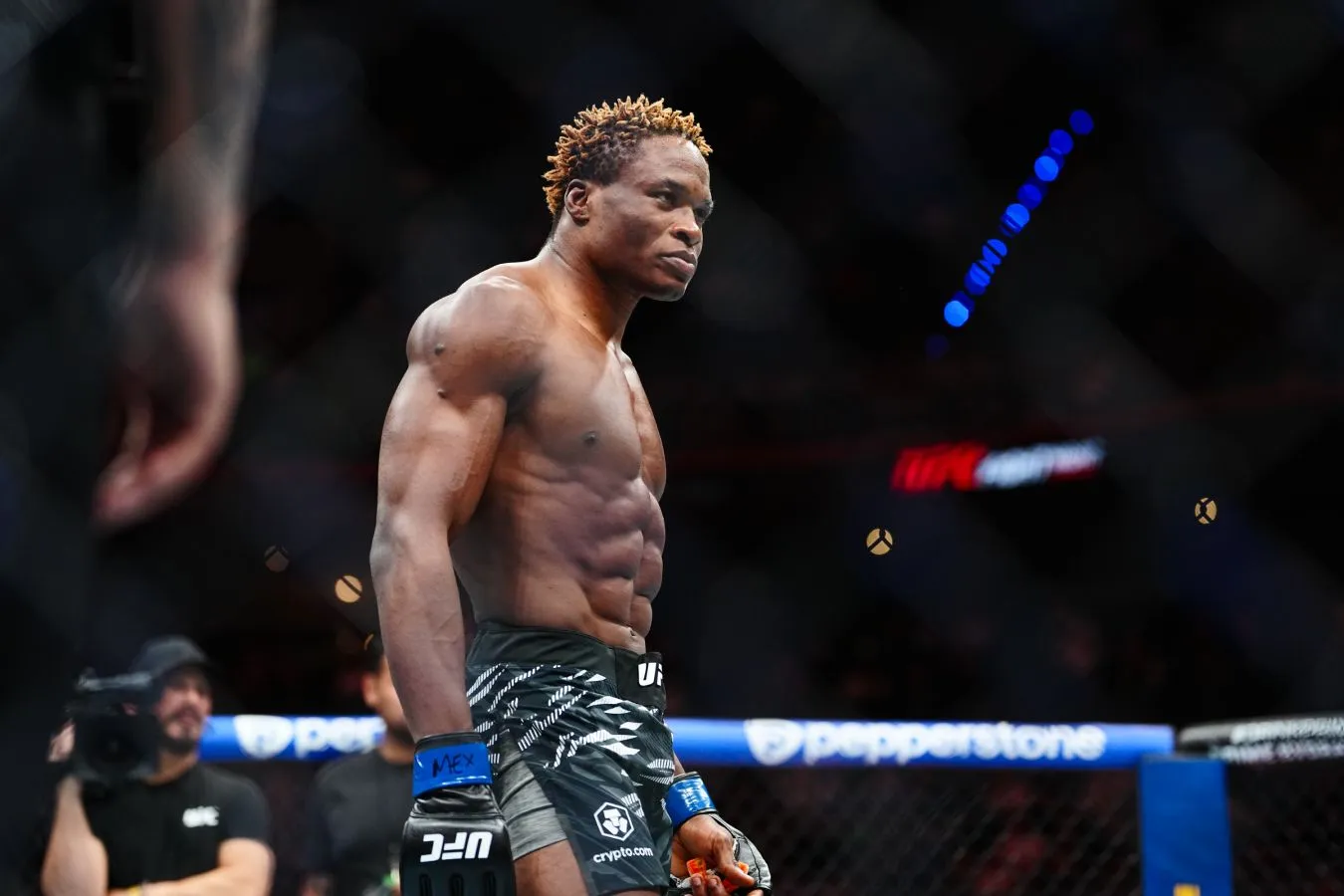 Готье – Винс прогноз на UFC 320 Лас-Вегас 5 октября 2025 года