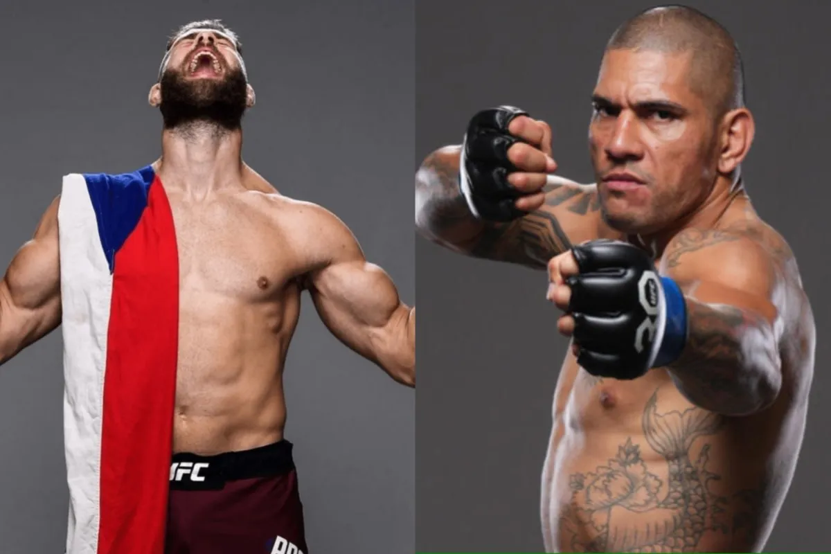 UFC 295