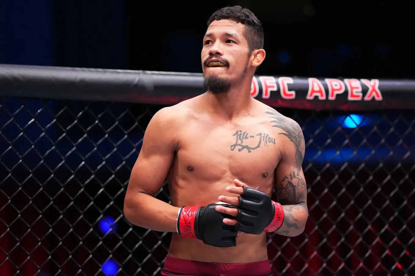 Юинг – Эстевам прогноз на UFC Vegas 115 5 апреля 2026 года