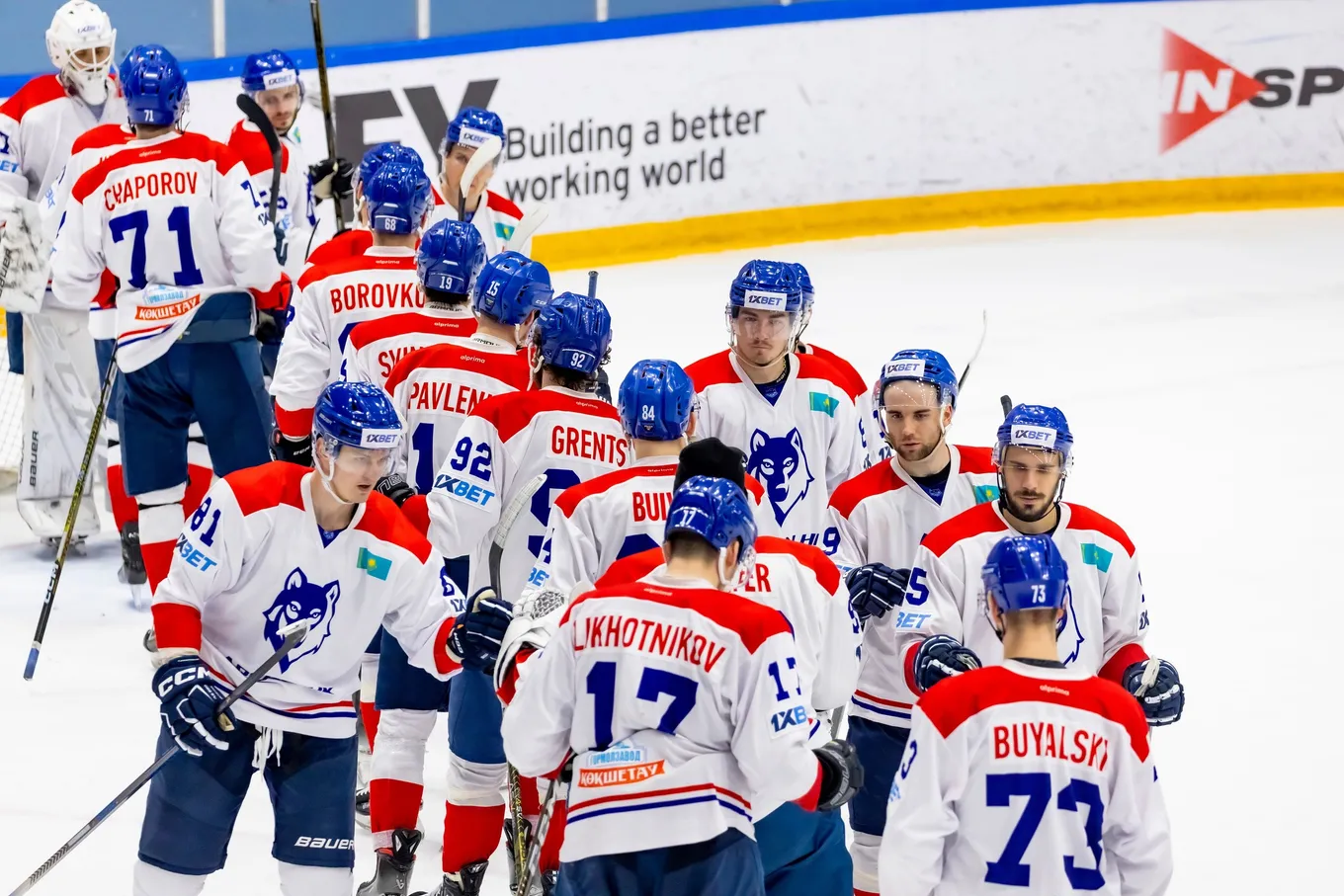 Хумо – Арлан прогноз на PRO HOKEY LIGASY 26 января 2025 года