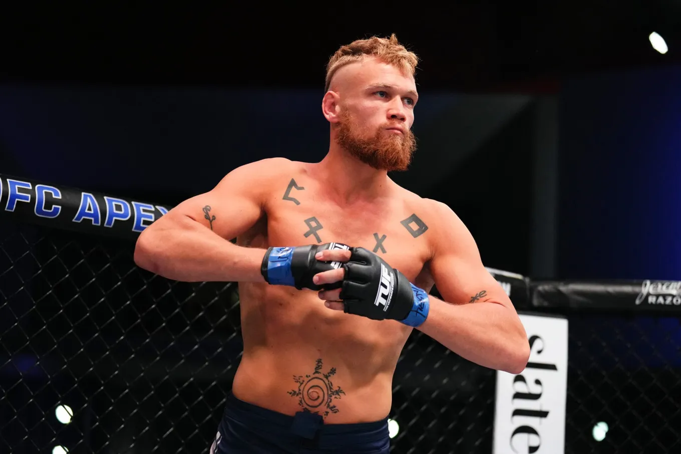 Леблан – Валентен прогноз на UFC Виниппег 19 апреля 2026 года
