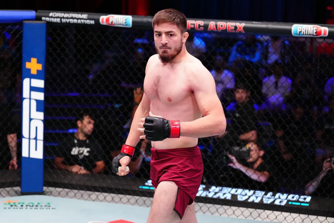 Яхьяев – Рибейру прогноз на UFC Vegas 115 5 апреля 2026 года