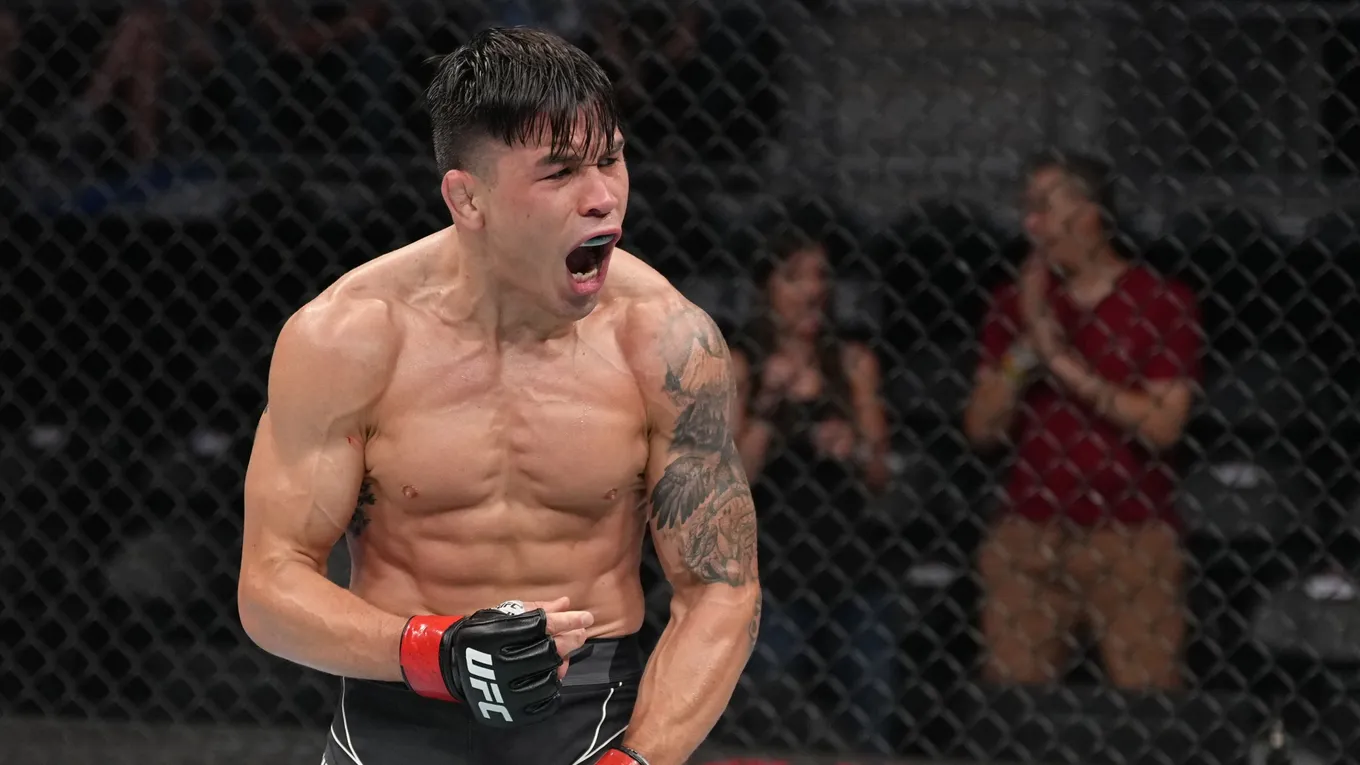 Симон – Барселос прогноз на UFC On ESPN 73 Лас-Вегас 9 ноября 2025 года