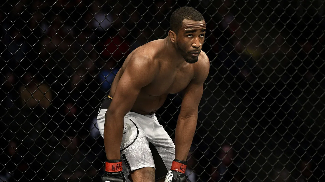 Нил – Медич прогноз на UFC Fight Night 267. Хьюстон 22 февраля 2026 года