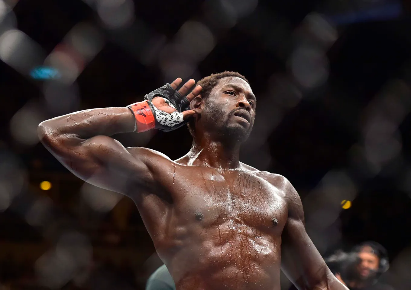 Канонье – Родригес прогноз на UFC Fight Night 16 февраля 2024 года
