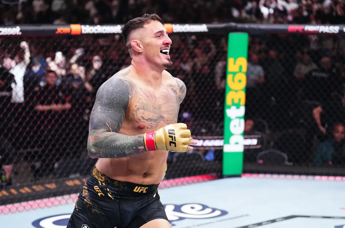 Аспиналл – Ган прогноз на UFC 321 Абу-Даби 26 октября 2025 года