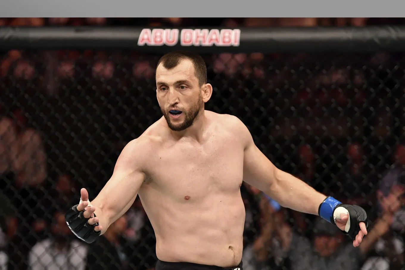 Салихов – Медич прогноз на UFC On ESPN 73 Лас-Вегас 9 ноября 2025 года