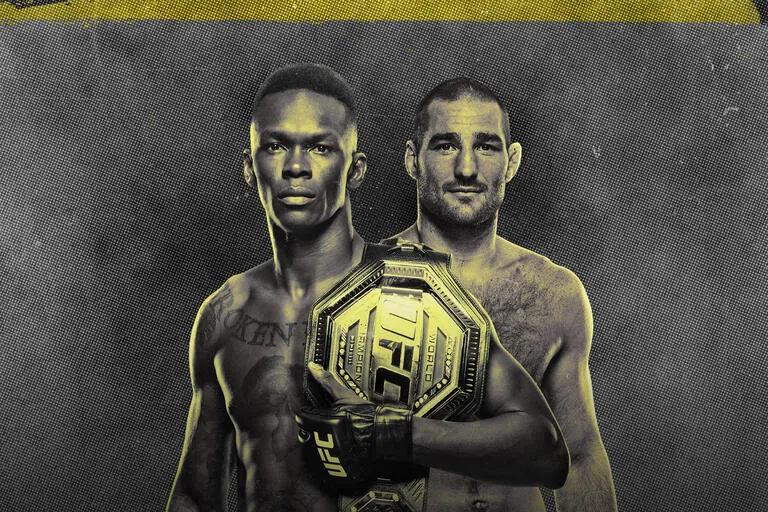 UFC 293
