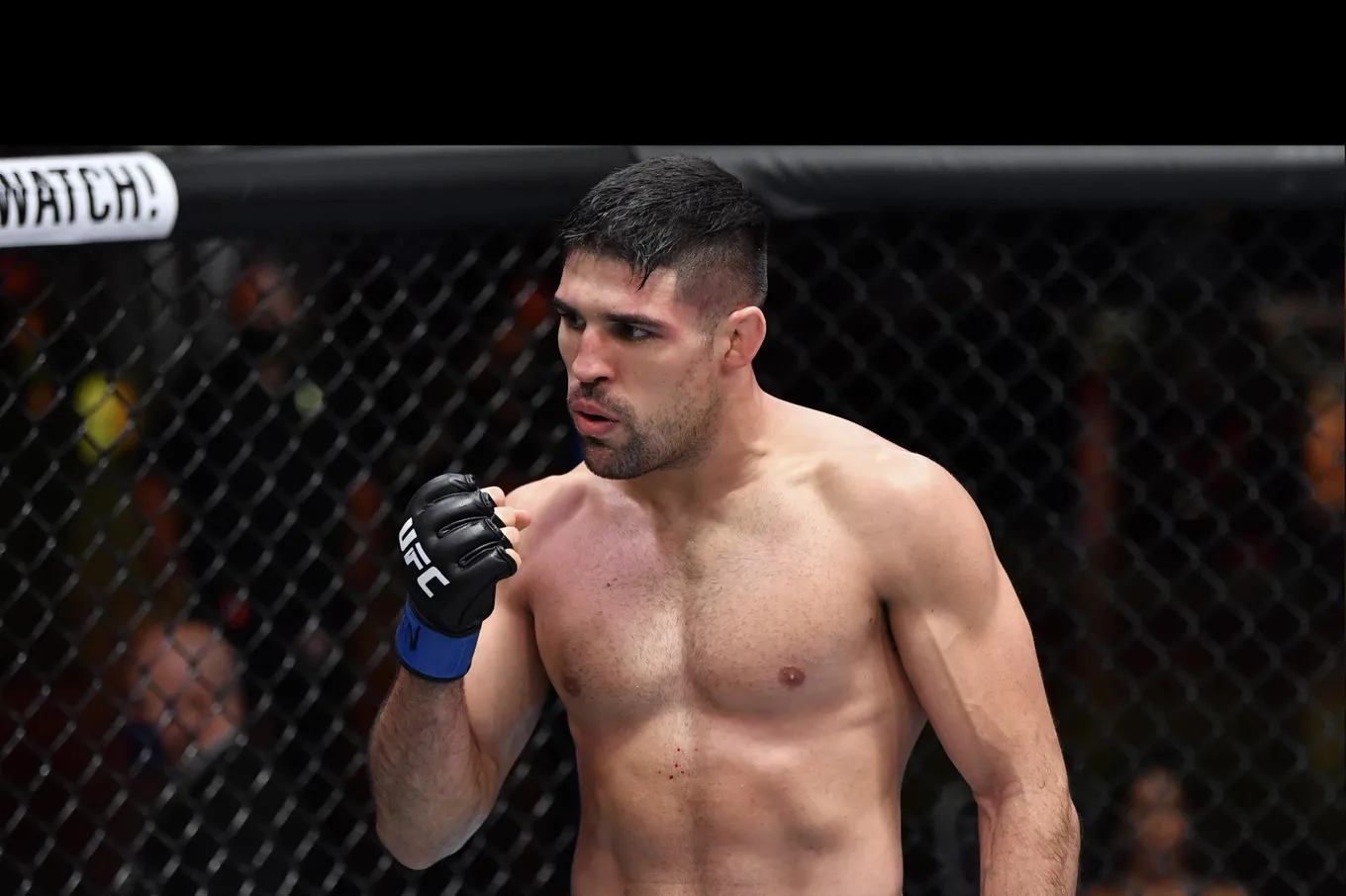 Гастелум – Люке прогноз на UFC 327 Майами 12 апреля 2026 года