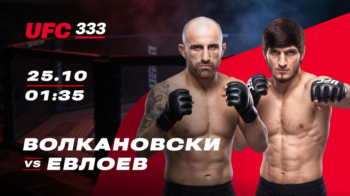 Евлоев заберет пояс Волкановски? Аналитика OLIMPBET
