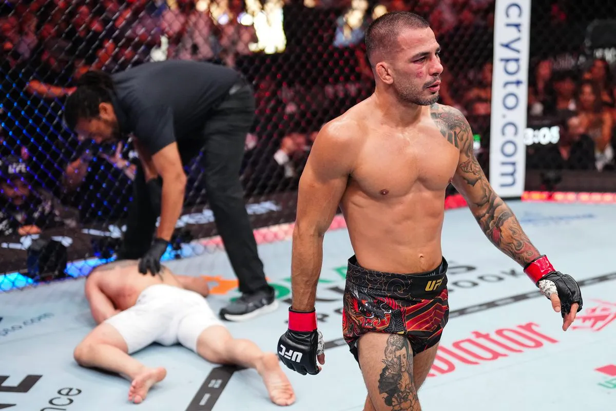 Итоги UFC 317