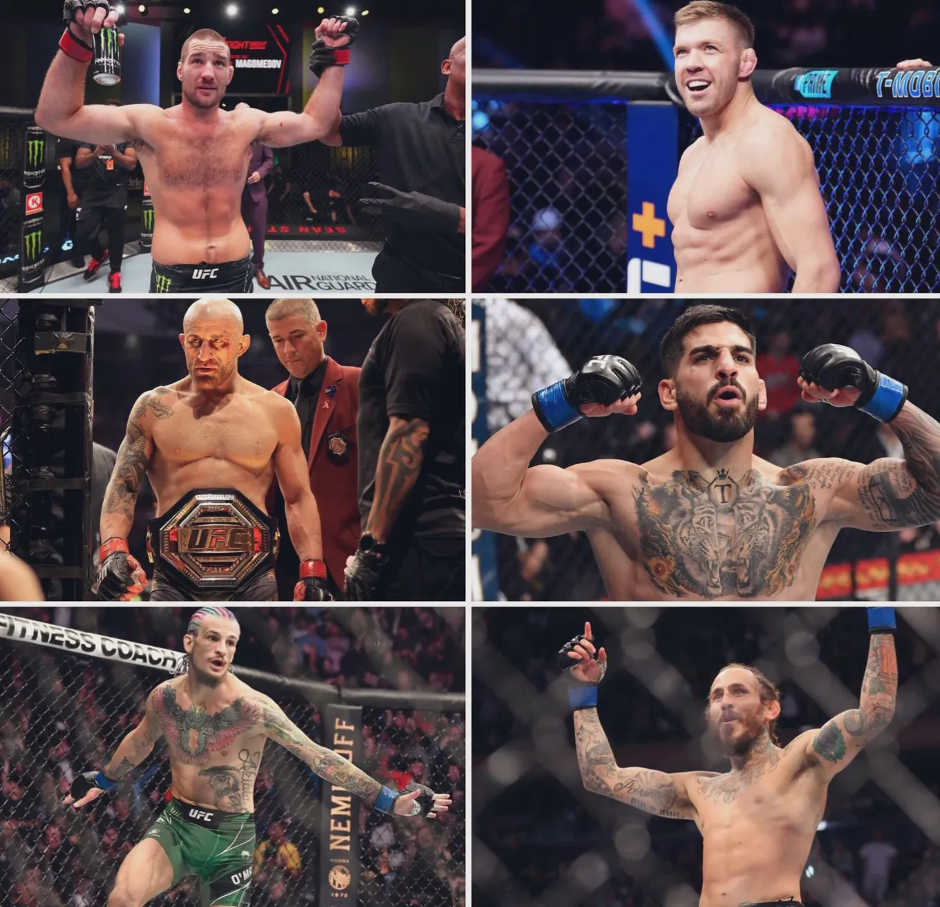 Анонсированные поединки в UFC