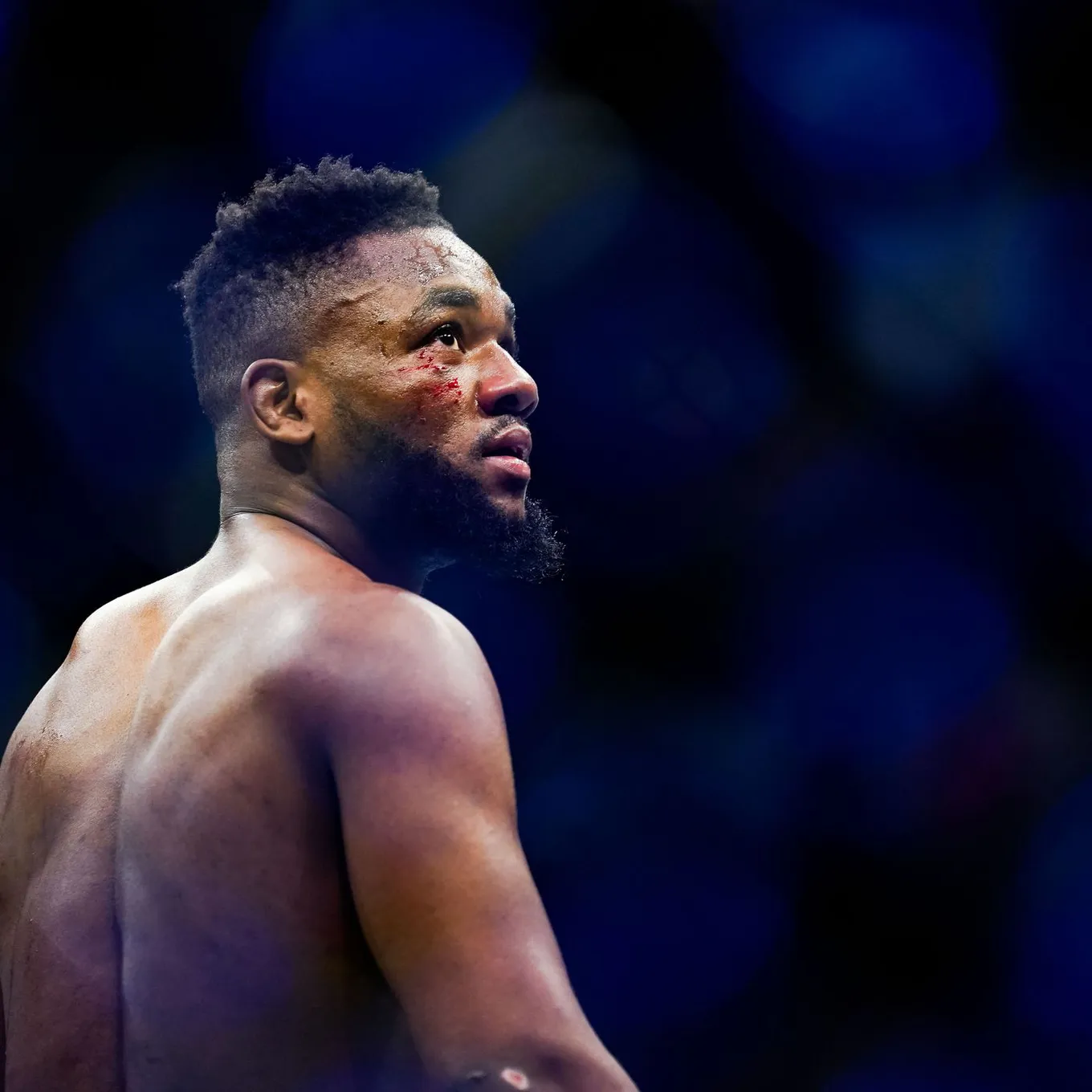 Капе – Сильва прогноз на UFC Tampa 15 декабря 2024 года