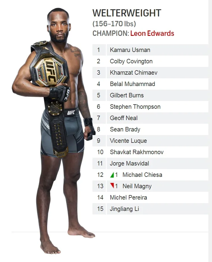 ТОП-15 полусреднего веса UFC