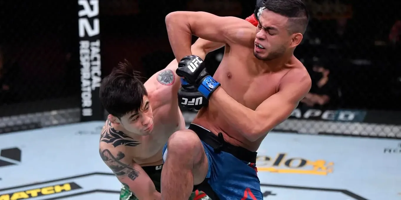 UFC Fight Night 237