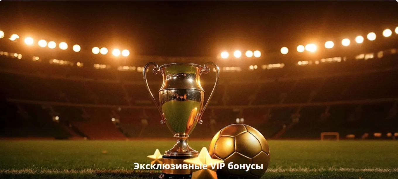 Программа лояльности