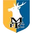 Мэнсфилд Таун