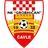 Team logo