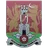 Team logo