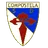 Team logo