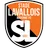 Team logo