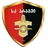 Team logo