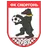 Team logo