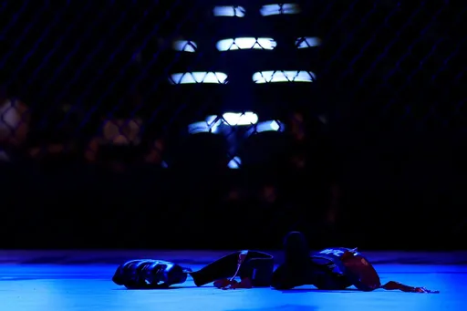 В США выступили с инициативой сократить состав бойцов UFC на 150 человек