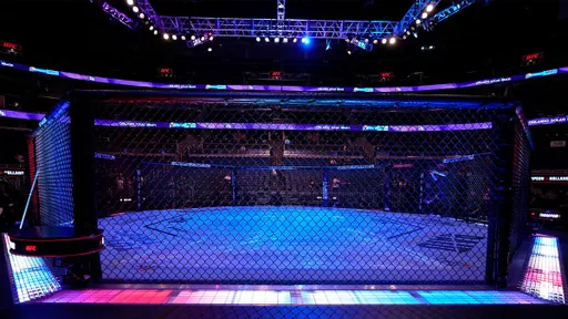 Двалишвили повторил рекордную победную серию в легчайшем весе UFC