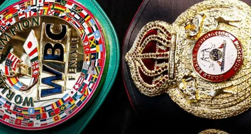 Президент WBA объявил о введении нового дивизиона