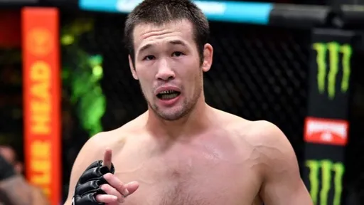 Шавкат Рахмонов надеется получить титульный бой в UFC после победы над Стивеном Томпсоном