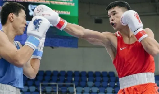 Сенсации и нокауты: день четвертьфиналов на чемпионате РК по боксу