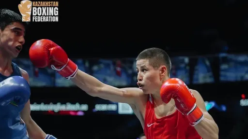 Казахстан выиграл медальный зачет ЧА-2026 по боксу