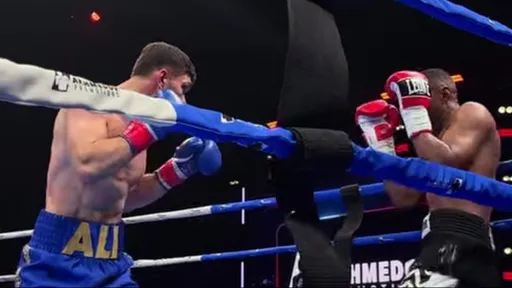 Али Ахмедов нокаутировал Веллема и завоевал пояс чемпиона мира IBO