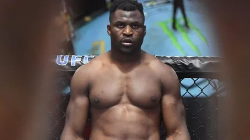 Нганну заработает за бой с Фьюри больше, чем за всю карьеру в UFC