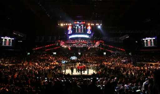 Представлен официальный постер турнира UFC 324