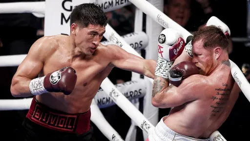 Альварес рассчитывает обойти запрет WBC ради реванша с Биволом