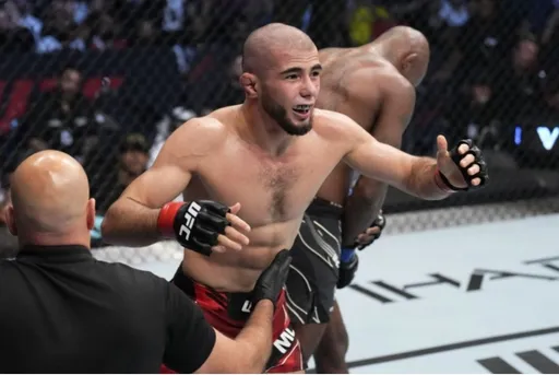 Дана Уайт ответил на вопрос о возможном возвращении Мокаева в UFC