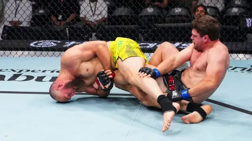 Вальтер Уокер эффектным болевым приемом победил Петерсена на турнире UFC