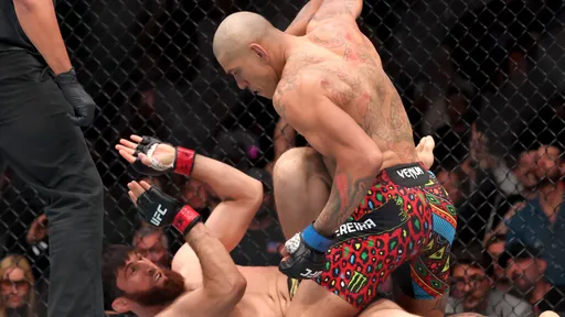 UFC опубликовала статистику боя Перейра – Анкалаев на UFC 320