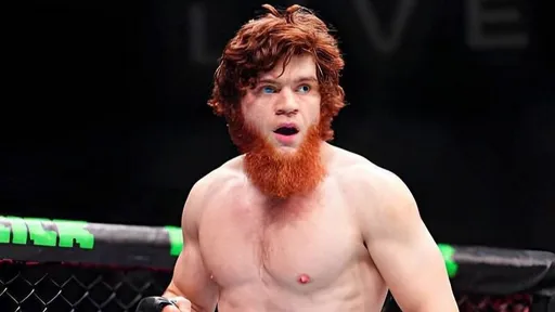 Шарабутдин Магомедов победил Мишеля Перейру на турнире UFC в Баку