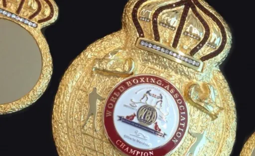 Чемпион WBA официально лишится титула с первой секунды боя