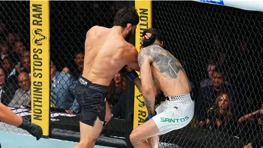 Царукян, Ван и Пантожа получили бонусы по $100 тысяч по итогам турнира UFC 331