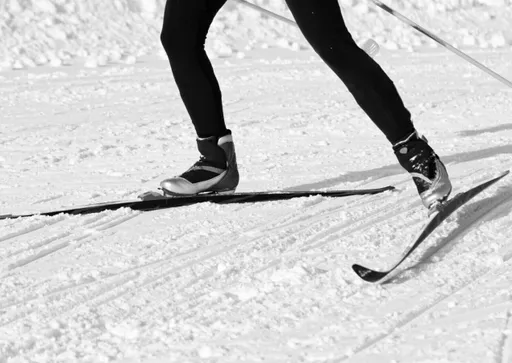 FIS отложила определение места, где пройдёт ЧМ-2031 по лыжным видам спорта